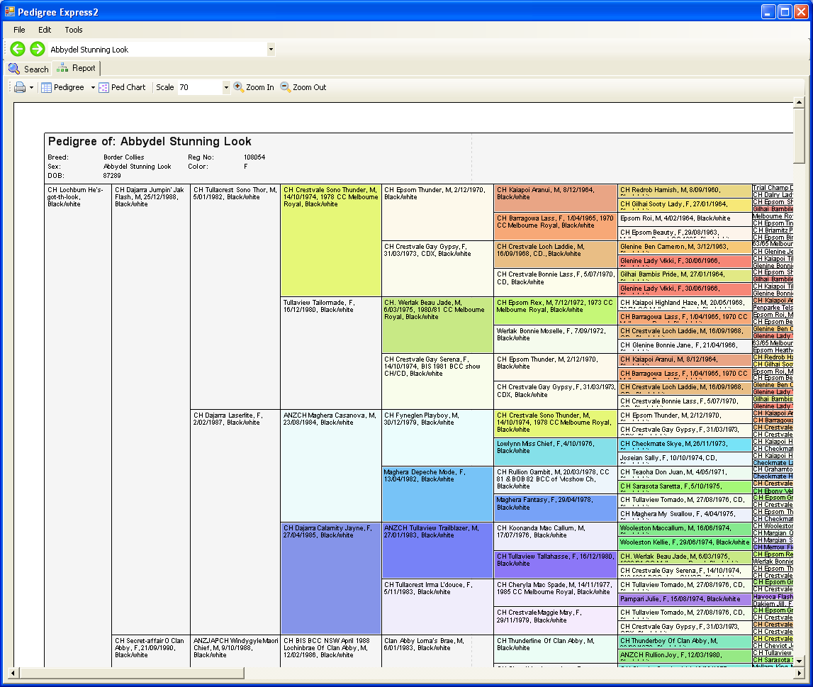 Screenshot of a PedExpress pedigree