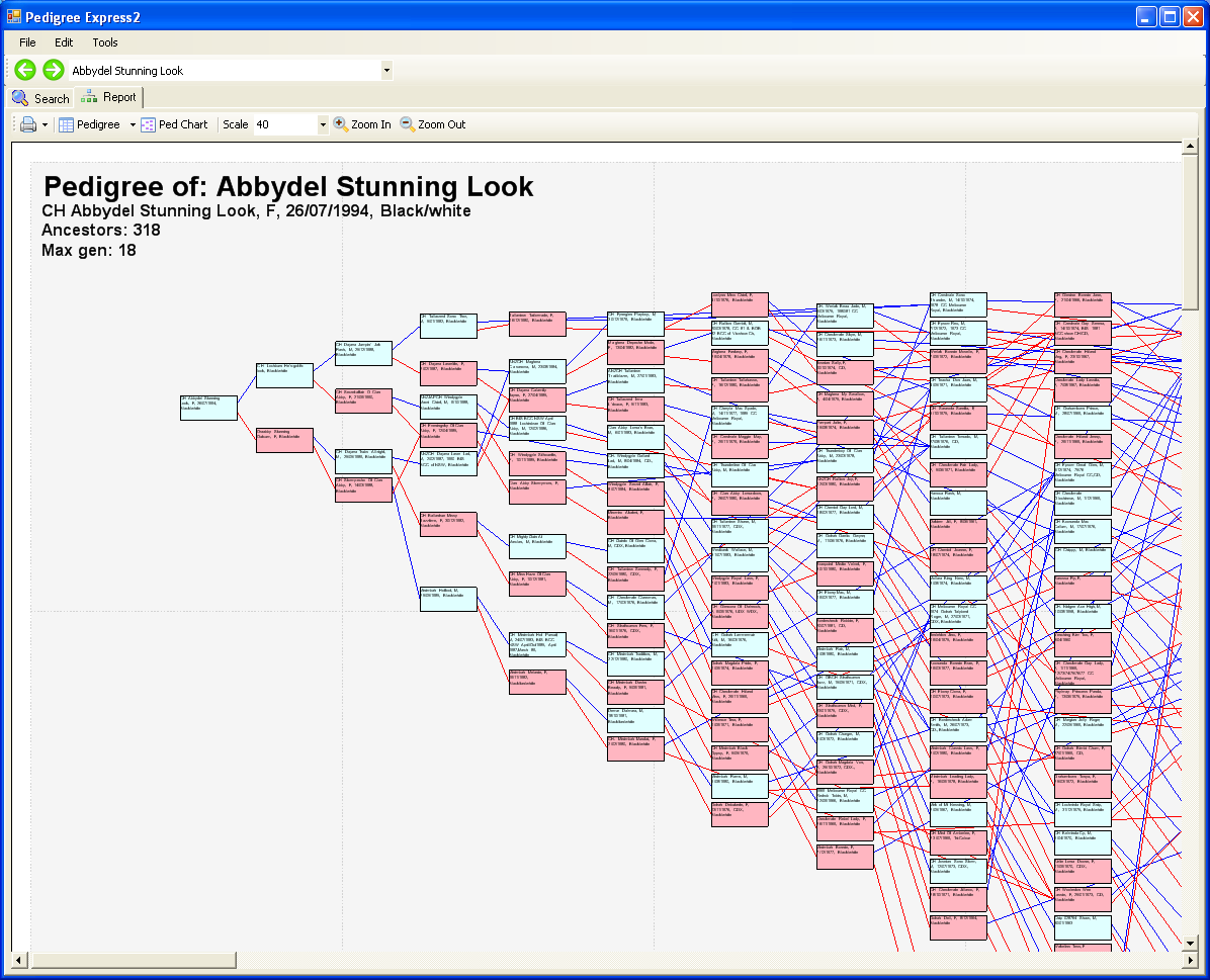 Pedigree Express sample pedigree chart