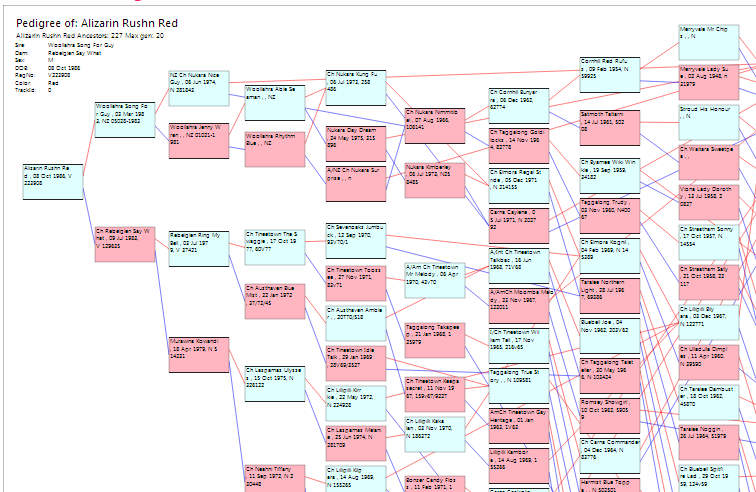 PDF pedigree chart